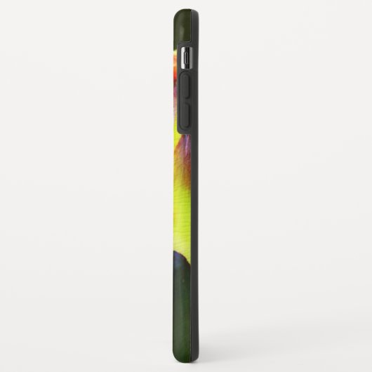 Frosch 2 iPhone Fall Case-Mate iPhone Hülle (Hinten/Links)