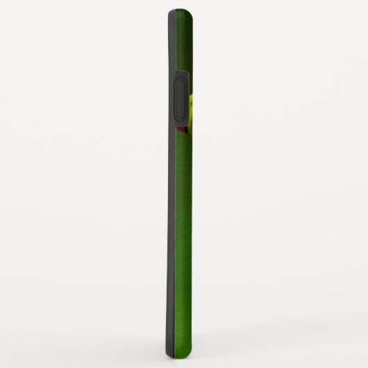 Frosch 2 iPhone Fall Case-Mate iPhone Hülle (Hinten/Rechts)