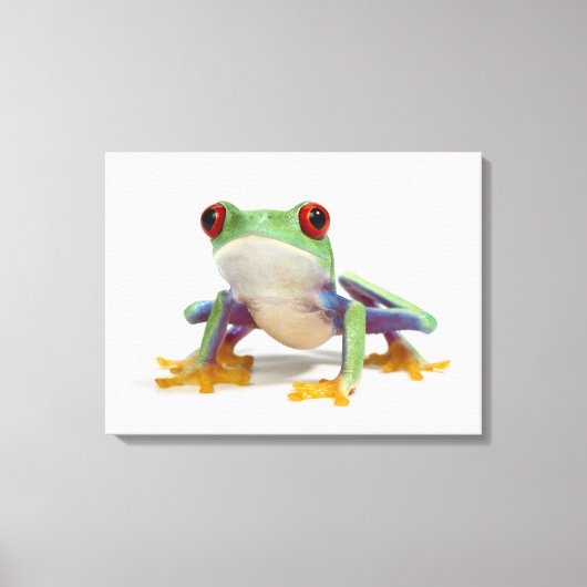 Frosch 2 leinwanddruck (Vorderseite)