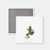 Frosch 2 magnet (Vorderseite/Rückseite)