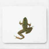 Frosch 2 mousepad (Vorne)