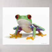 Frosch 2 poster (Vorne)