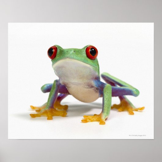 Frosch 2 poster (Vorne)