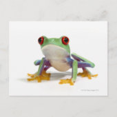 Frosch 2 postkarte (Vorderseite)