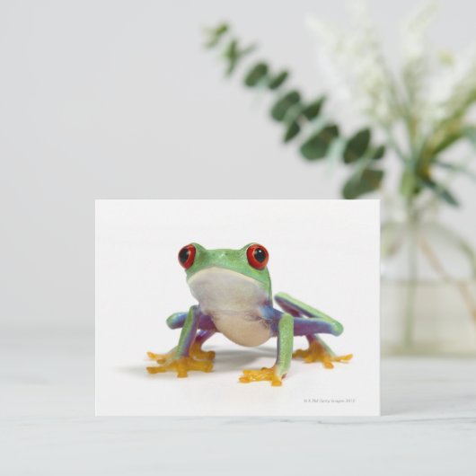 Frosch 2 postkarte (Stehend Vorderseite)