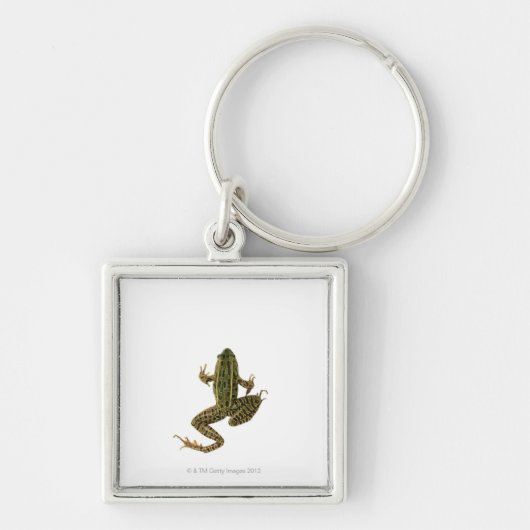 Frosch 2 schlüsselanhänger (Vorne)