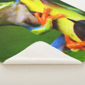 Frosch 2 Sherpa Fleece Blankets Sherpadecke (3/4)