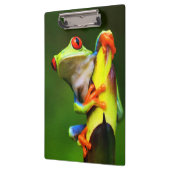 Frosch 2 Zwischenablage Klemmbrett (Links)
