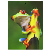 Frosch 2 Zwischenablage Klemmbrett (Rückseite)