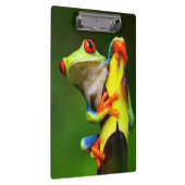 Frosch 2 Zwischenablage Klemmbrett (Rechts)