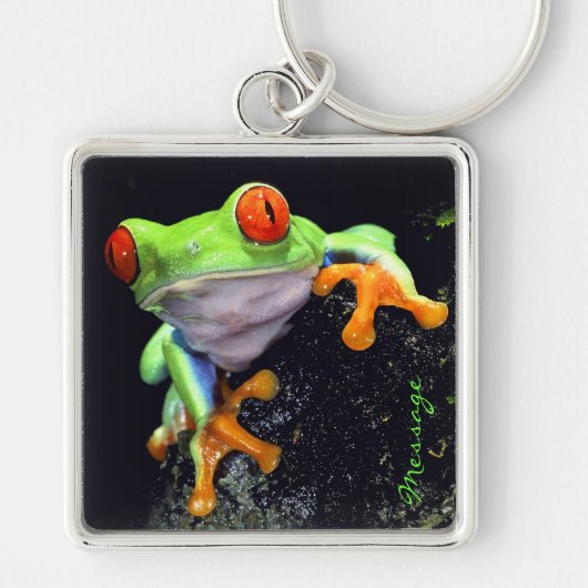 Frosch 3 Schlüsselanhänger (Vorne)