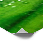 Frosch 4 Poster (Ecke)