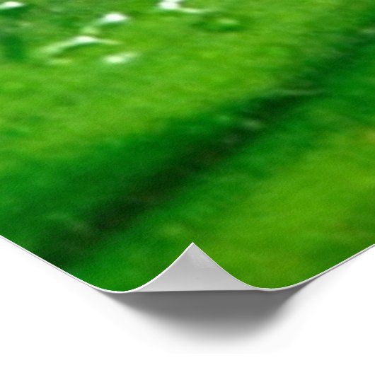 Frosch 4 Poster (Ecke)