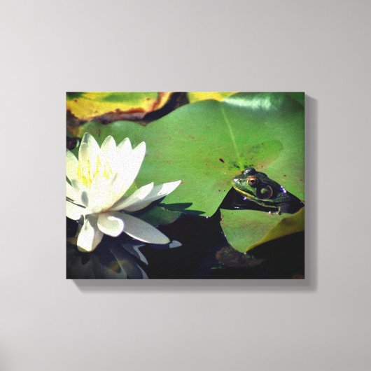 Frosch Admiring Lotus Water Lily Blume Leinwanddruck (Vorderseite)