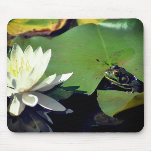 Frosch Admiring Lotus Water Lily Blume Mousepad (Vorne)