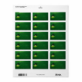 Frosch Adressaufkleber (Vorne)