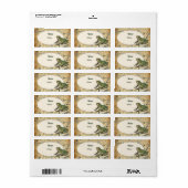 Frosch Adressaufkleber (Vorne)