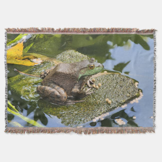 Frosch - Alter Knacker Decke