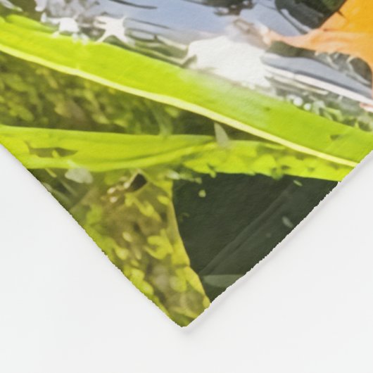 Frosch - alter Knacker Fleecedecke (Ecke)