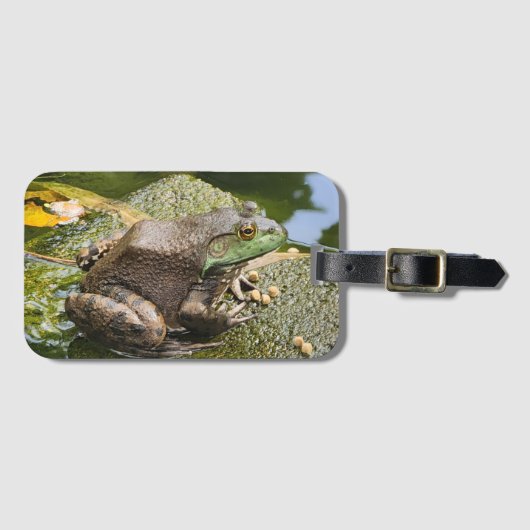 Frosch - alter Knacker Gepäckanhänger (Vorderseite (Horizontal))