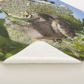 Frosch - Alter Knacker Sherpadecke (3/4)
