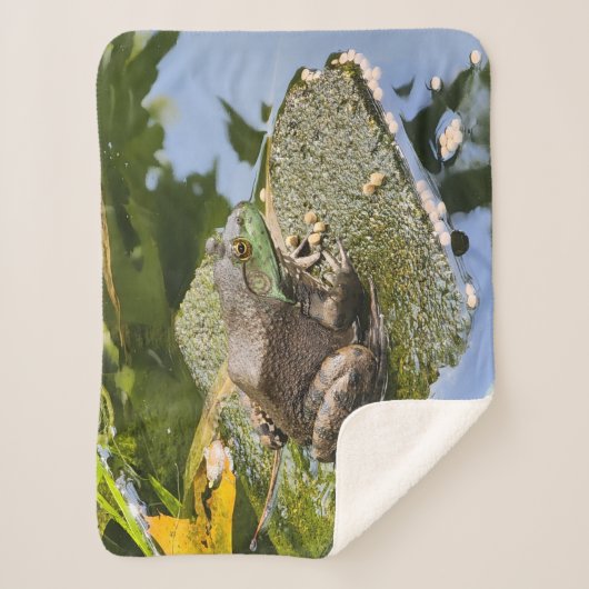 Frosch - Alter Knacker Sherpadecke (Vorderseite)