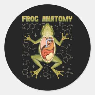 Frosch Anatomie Frosch Dissection Biologie Amphibi Runder Aufkleber