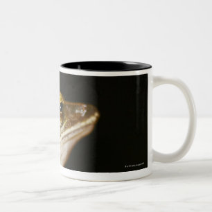 Frosch auf Blatt im Profil Zweifarbige Tasse