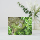 Frosch auf der Marsh Postkarte (Stehend Vorderseite)