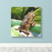 Frosch auf der Rückseite Leinwand drucken (Insitu (Holzboden))