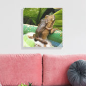 Frosch auf der Rückseite Leinwand drucken (Insitu (Wohnzimmer))