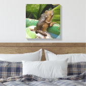 Frosch auf der Rückseite Leinwand drucken (Insitu (Schlafzimmer))
