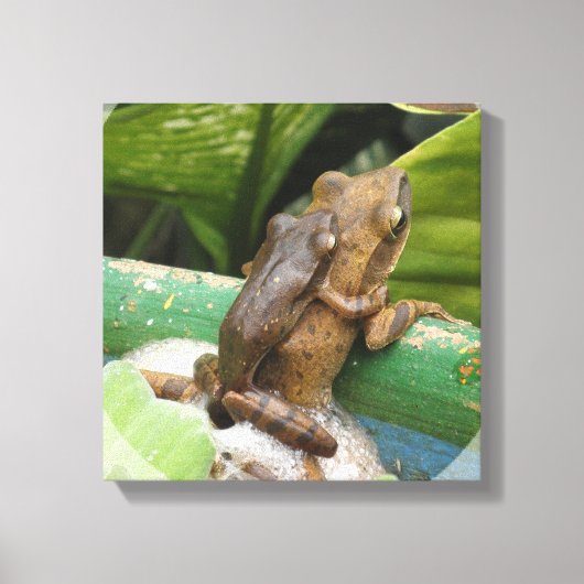 Frosch auf der Rückseite Leinwand drucken (Vorderseite)