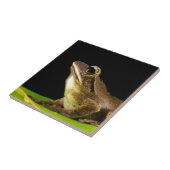 Frosch auf einem Blatt Fliese (Seite)