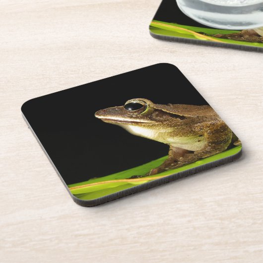 Frosch auf einem Blatt Getränkeuntersetzer (Linke Seite)