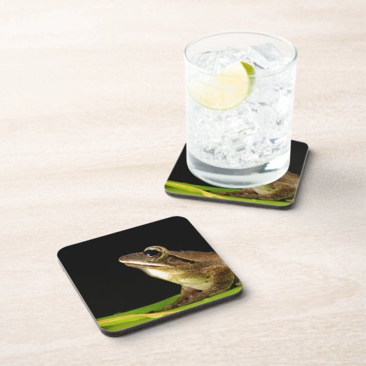 Frosch auf einem Blatt Getränkeuntersetzer (Rechte Seite)