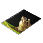 Frosch auf einem Blatt Notizblock (Linke Seite)