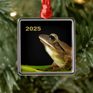 Frosch auf einem Blatt Ornament Aus Metall