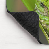 Frosch auf einem grünen Blatt Mousepad (Ecke)