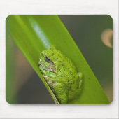 Frosch auf einem grünen Blatt Mousepad (Vorne)