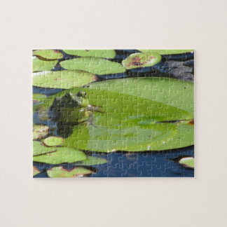 Frosch auf einem Lilien-Auflage-Puzzlespiel Puzzle