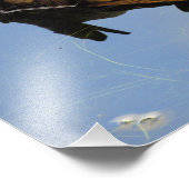 Frosch auf einem Log Fotodruck (Ecke)