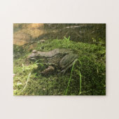 Frosch auf einem Mossy Rock Foto grün und braun Puzzle (Horizontal)