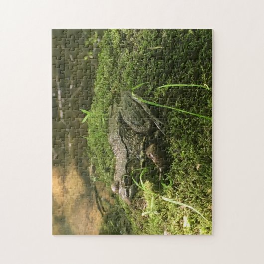 Frosch auf einem Mossy Rock Foto grün und braun Puzzle (Vertikal)