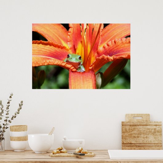 Frosch auf einer Blume Poster (Küche)