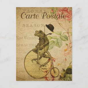 Frosch auf Fahrrad Vintage Französische Postkarte