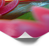 Frosch auf Gedreht Flop in einem Teich Poster (Ecke)