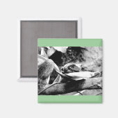 Frosch auf Leaf B+W Magnet (Vorderseite/Rückseite)