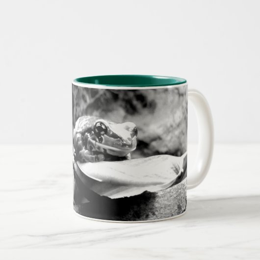 Frosch auf Leaf B+W Zweifarbige Tasse (VorderseiteRechts)
