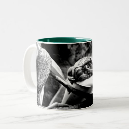 Frosch auf Leaf B+W Zweifarbige Tasse (Vorderseite Links)